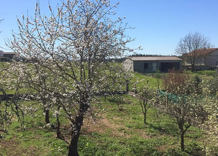 Гостевой дом Avenida
